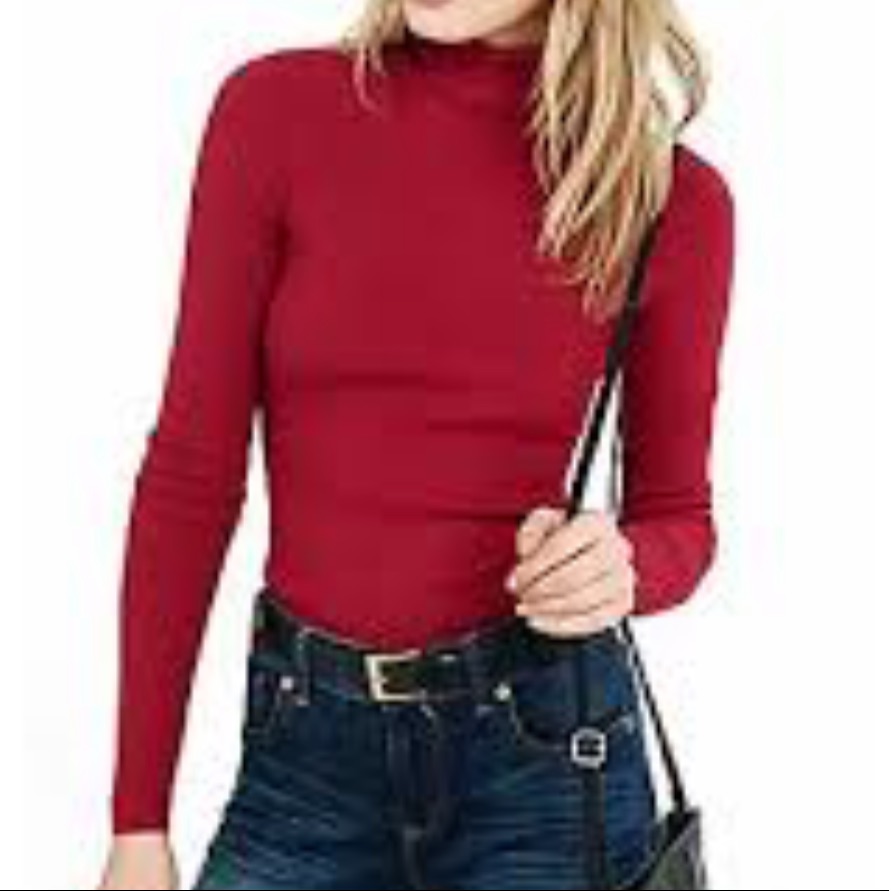 Express Turtle Neck